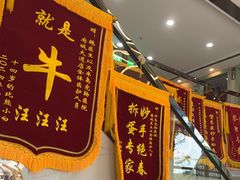-半岛宠物医院24小时·内窥镜·牙科·碎石中心(府城大道店)