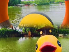 游乐设施-朝阳公园