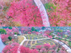 -花开海上生态园