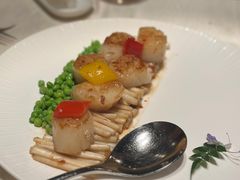 花生芽苗炒带子皇-皇朝会.经典传统粤菜(外滩店)