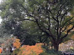 -杭州香格里拉·香宫中餐厅