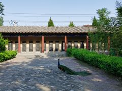 -大槐树寻根祭祖园