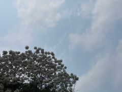 -广西民族博物馆