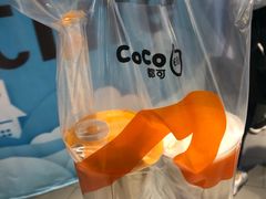 -CoCo都可(方庄店)