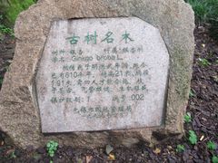 -无锡惠山寺