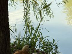 -东湖落雁景区
