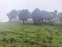 -德宏芒市国际机场