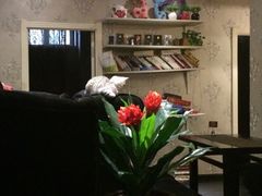 吱咖啡-吱咖啡西式简餐