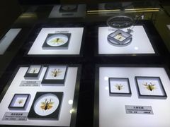 -上海昆虫博物馆