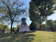 -乡亲鹅肉城(吴江店)