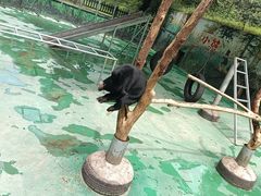 -西安秦岭野生动物园