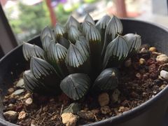 -鈊藝銀匠·银饰DIY工作室(永庆坊店)