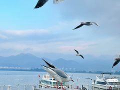 -海埂大坝