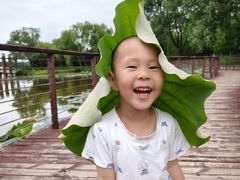-石家庄市植物园