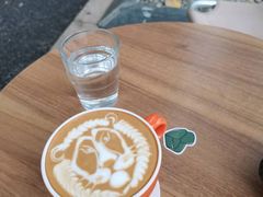 -SAFARI COFFEE