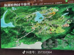 -深圳仙湖植物园