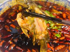 -老渔家鲜鱼轩(南浦横街店)