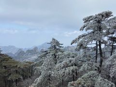 -黄山风景区