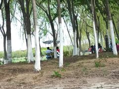 -西青郊野公园