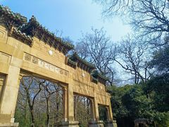 -灵谷景区