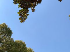 -上海鲜花港