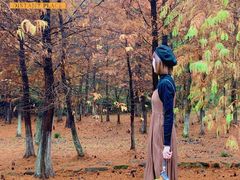 -南京市无想山景区