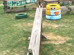 -田园东方蜜桃村的田野营地