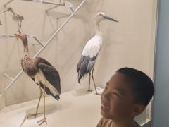 -中国湿地博物馆