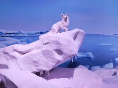 -贝林大翅鲸简餐厅(国家海洋博物馆店)