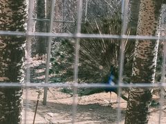 -雪山彩虹谷景区
