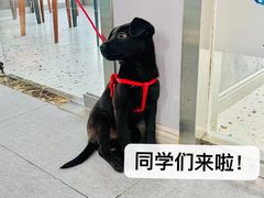 -帝京日语(春熙路旗舰校区)
