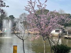 -无锡梅园公园