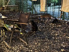 -DGE季风钓虾营地·团建·聚会