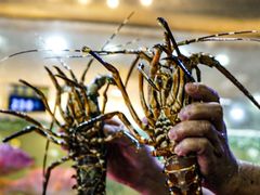 -巽寮印象美食部落餐厅·海鲜·地方特色菜(惠州体验店)