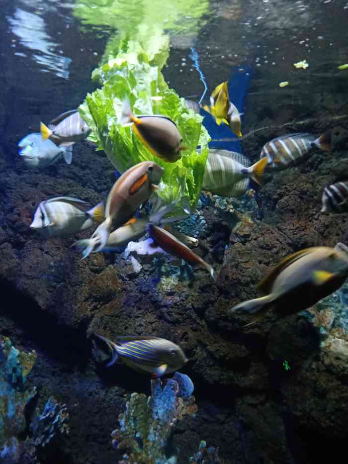蠡湖中央公园海底世界