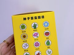 -野鸽子咖啡(中航店)