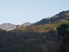 -杨家堂村