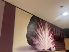 -麦当劳(东直门外大街店)