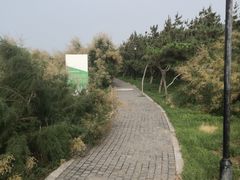 -小石岛景区