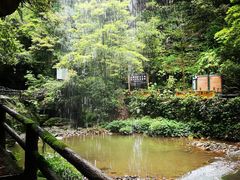 -碧峰峡风景区