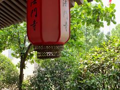 -法门文化景区