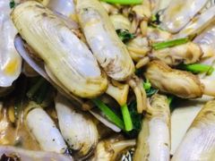 -渡海小渔村.老辈日照菜