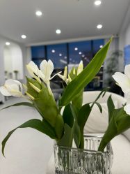 -JNK皮肤管理中心