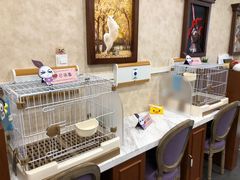 -宠爱国际动物医院· 猫科· 外科·中兽医(长白店)