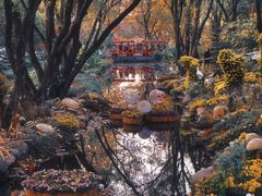 -上海共青森林公园