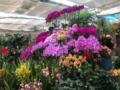 -秦美花卉(天朗·莱茵小城2期店)