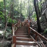 大岭沟猕猴桃谷