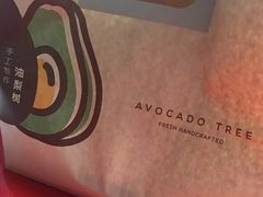 -油梨树 AVOCADO TREE(亮马桥店)