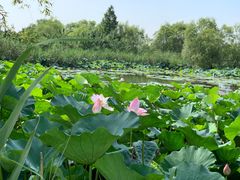 -长兴太湖图影湿地文化园