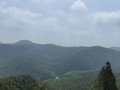 -金龙寺国家森林公园